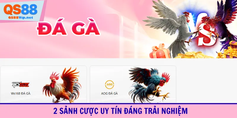 2 sảnh cược uy tín đáng trải nghiệm