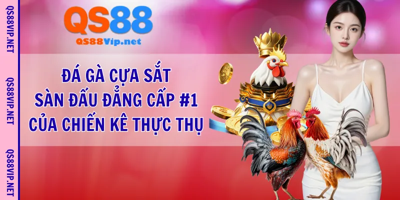 Đá gà cựa sắt