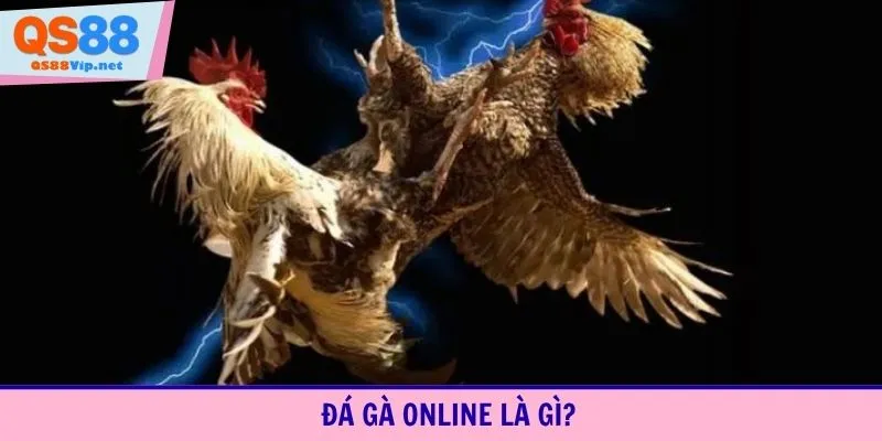 Đá gà online là gì