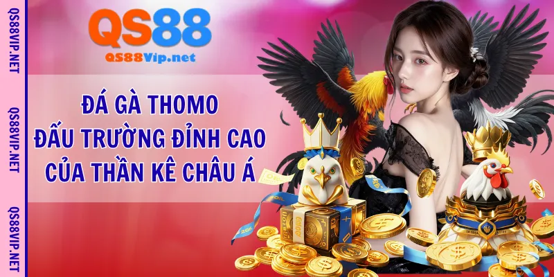 đá gà thomo